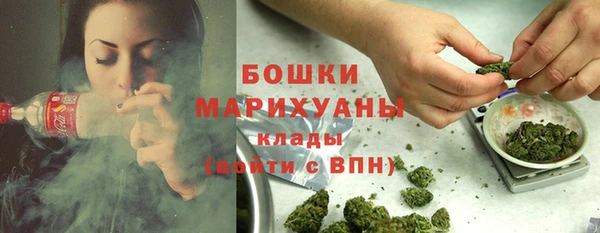 гидра Богородицк