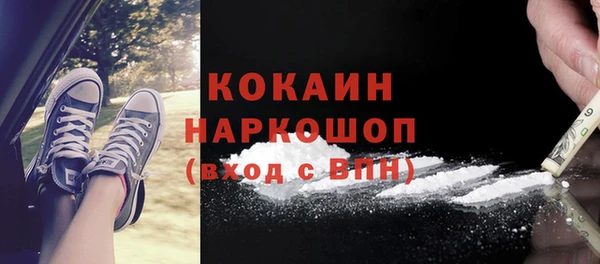 молекула духа Богданович