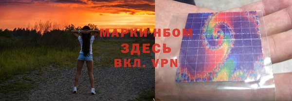 гидра Богородицк