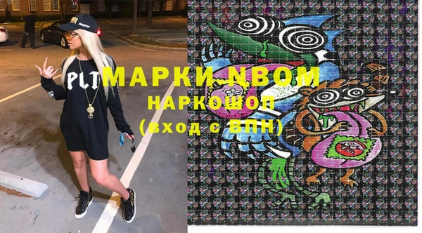 гидра Богородицк