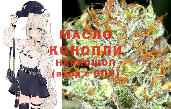 молекула духа Богданович