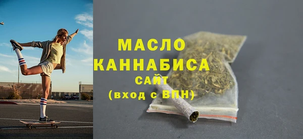гидра Богородицк