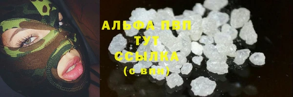 гидра Богородицк