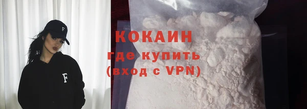 гидра Богородицк