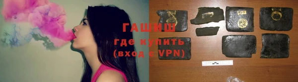 гидра Богородицк