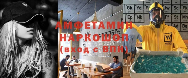 гидра Богородицк
