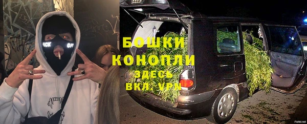 гидра Богородицк