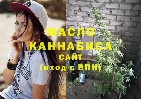 молекула духа Богданович