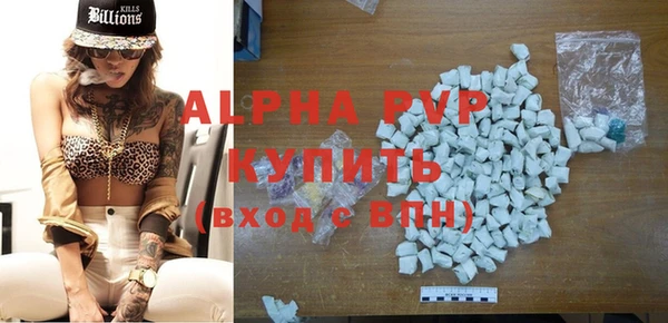 молекула духа Богданович