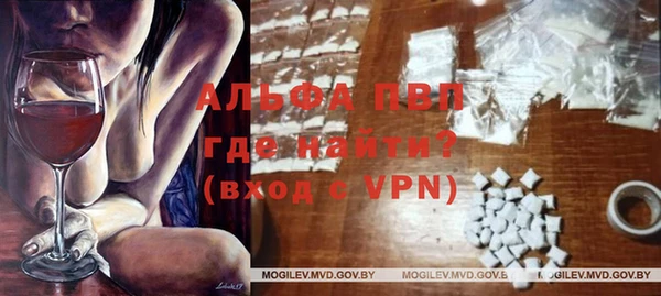 молекула духа Богданович