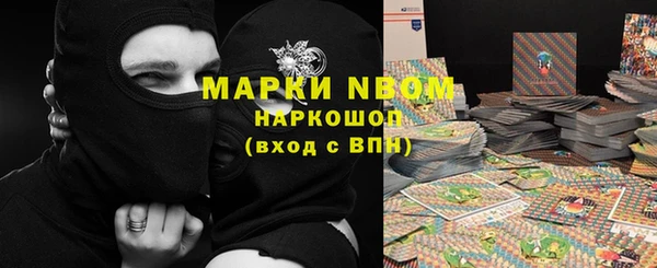 гидра Богородицк