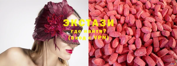 молекула духа Богданович