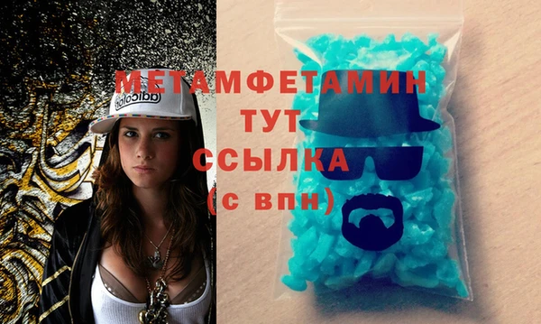 гидра Богородицк