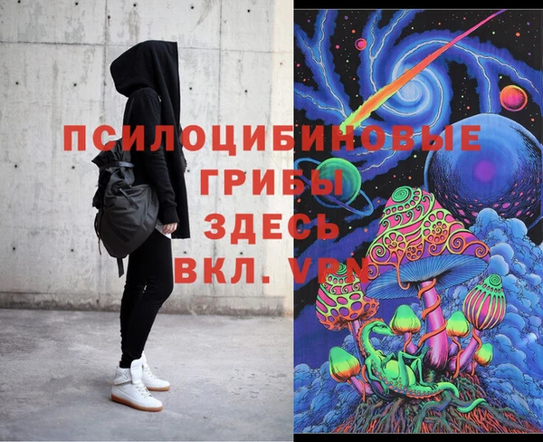 молекула духа Богданович